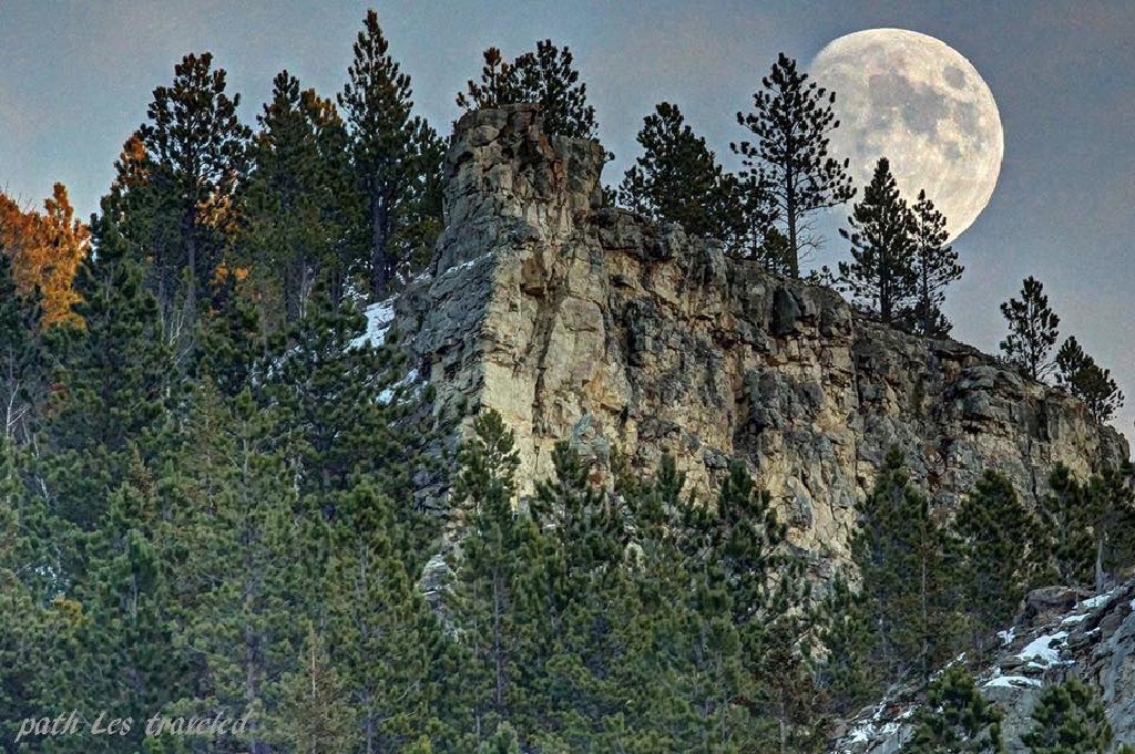 Black-Hills-SD/1024x768_Spearfish Canyon-21.jpg